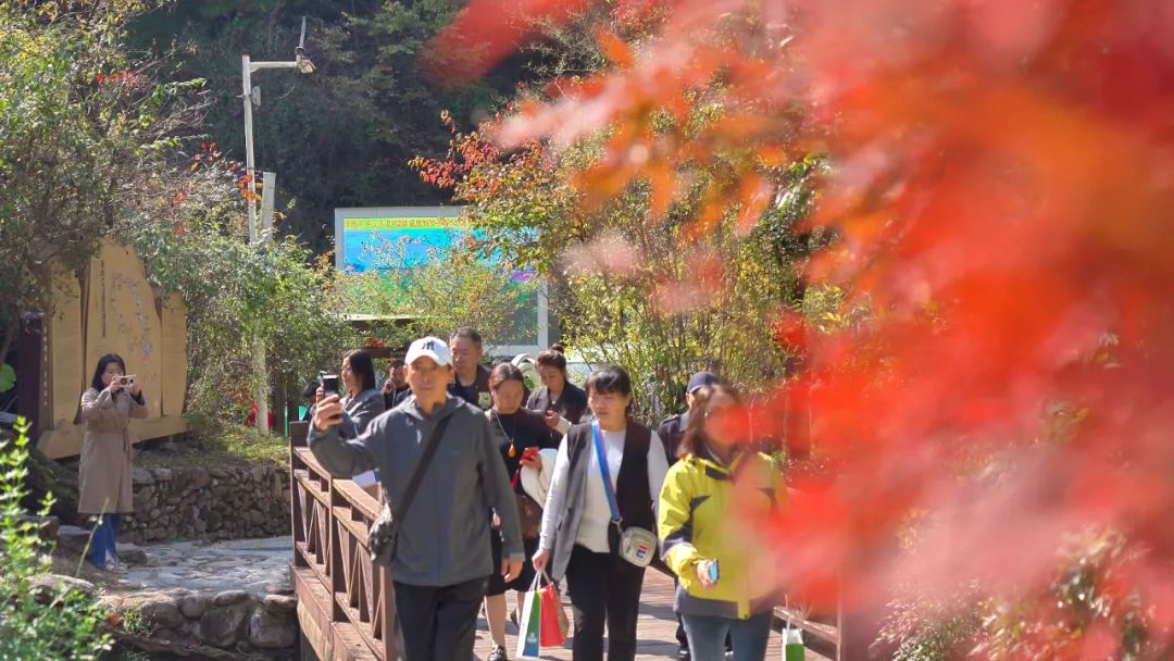 陕西省旅行社协会率团参加2023关中平原城市群秋季旅游产品发布暨“22℃商洛·中国康养之都”多彩商洛系列活动启动仪式