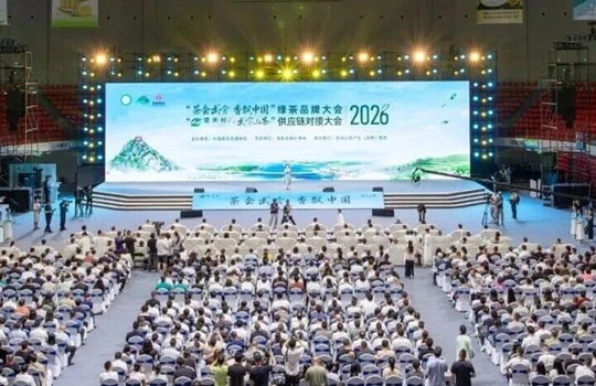 关注十堰茶文旅 深化陕鄂高铁时代入境游协作