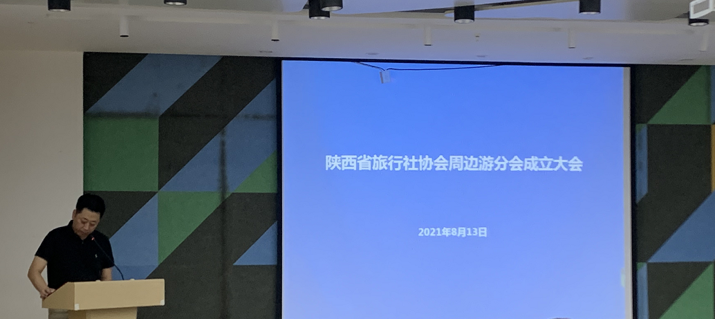 杨波.png